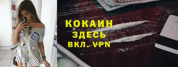 МДПВ Гусев