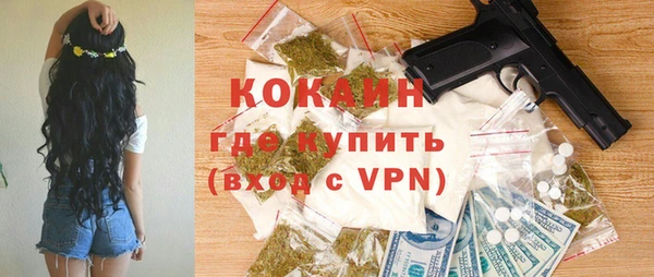 МДПВ Гусев