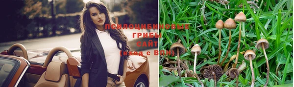 молекула духа Бердск